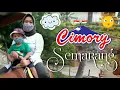 Download Lagu Wisata Cimory Semarang | Wisata  Edukasi | Bermain-Mengenal Binatang dan Naik Kuda