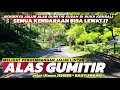 Download Lagu Jalur Alas Gumitir Resmi Di Buka Kembali‼️Kondisi Terbaru Jalur Alas Gumitir Menjelang Buka Total...