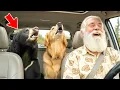 Bear Cub With a House Dog Voice Won’t Stop Screaming With Joy