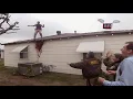 Reno 911 Cat on the Roof