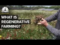Why Carbon Credits Are The Next Opportunity For Farmers