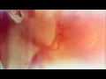 Thrupence - Folds