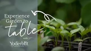How a Yoderbilt Greenhouse Expanded What Katie Oglesby Can Grow Year-Round