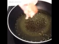 Download Lagu Sayap goreng.... Yummiii