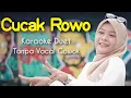 Download Lagu Cucak Rowo Karaoke Duet Tanpa Vocal Cowok || Voc Mintul