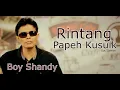 Download Lagu Boy Shandy - Rintang Papeh Kusuik Live
