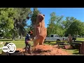 Century-old Merced courthouse redwood reborn as bear sculpture