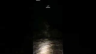 شيلة عز والي بارق لاح في وجه المخيل أداء هادي بن جابر المري دندنها