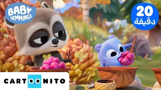 نزهة فوضوية مع صغار الليمينغز! 🍓 | بيبي ليمينغز | Baby Lemmings | كارتونيتو @CartoonitoMENA