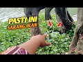SARANG IKAN || SAYANG SEKALI ALAM TIDAK MENGIZINKAN UNTUK AMBIL SEMUA IKANYA
