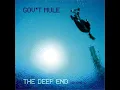 Gov't Mule   Life On The Outside