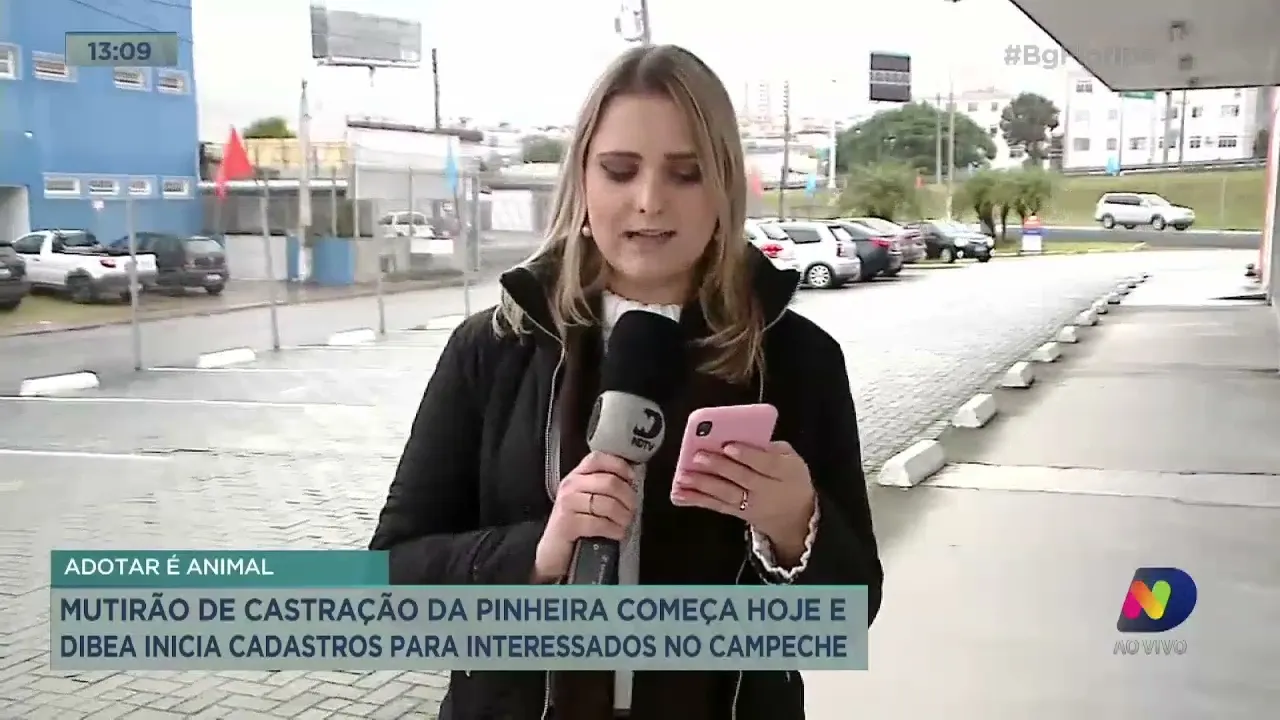 Mutirão de castração da Pinheira começa e Dibea inicia cadastros para interessados no Campeche