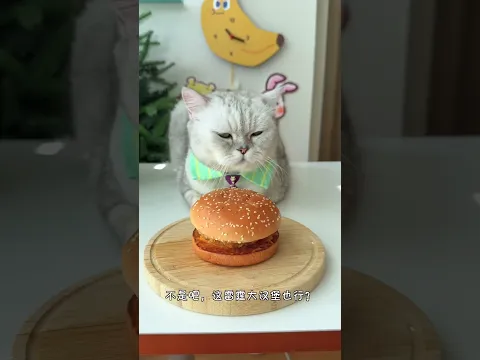 When I realized that mooncakes are just a shape