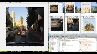2 Real-time Multiple Object Tracking Using Bio-inspired Real-time Adaptation