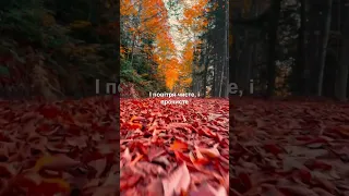 Промінь сонця небо край цілує ПОВНА ВЕРСІЯ варіант перший 