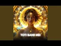 Download Lagu Toti Banii Mei (Muzică Manifestare)