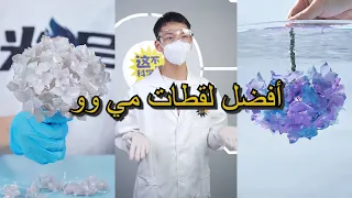 أفضل لقطات مي وو | الحلقة 32 أيّها أعجبك أكثر؟#miwuscience #experiment #tips