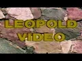 Download Lagu Lohikäärme Leopold - Leopold Video, © Oy Videostyle Ab