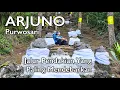 Download Lagu ARJUNO PURWOSARI - Jalur Pendakian Yang Paling Mendebarkan | RIKAS HARSA