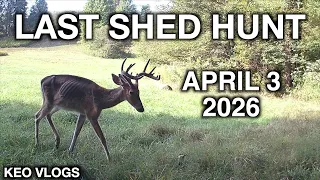 Last Shed Hunt This Spring