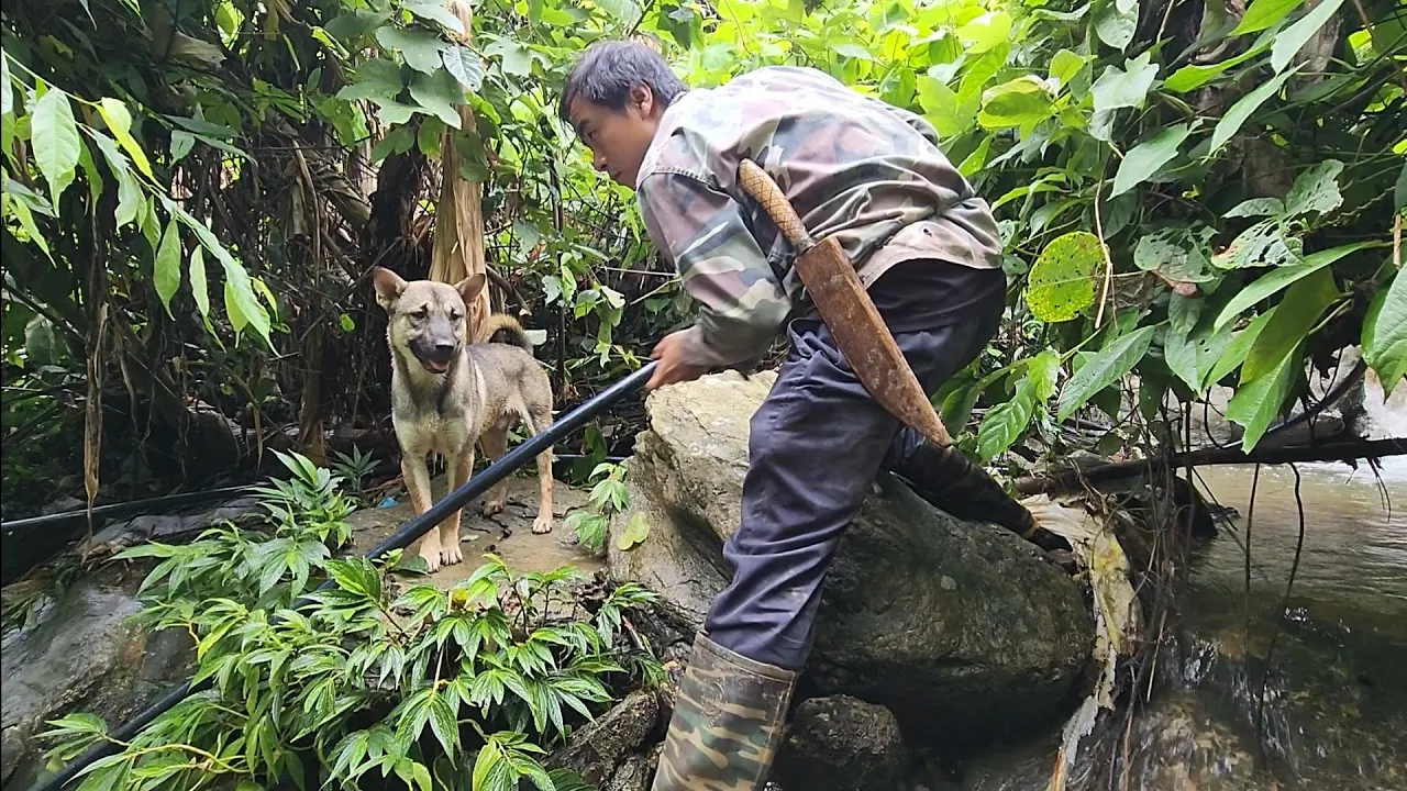 The work of a heavy stormy day, Survival instincts, Building a life (Ep 183)