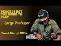The Man-Large Professor-Year's music extravaganza-Popular