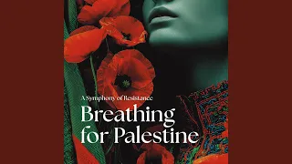 زیر درخت زیتون 