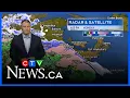 Maritime weather forecast for Dec 29