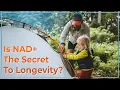Is NAD The Secret To Longevity What Are Sirtuins