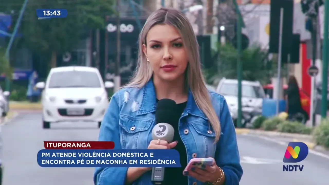 Ituporanga: PM atende violência doméstica e encontra pé de maconha em residência