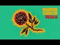 Rosalia - Mandroid Echostar