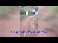 Buhay ng FIELD REPRESENTATIVE 1 1