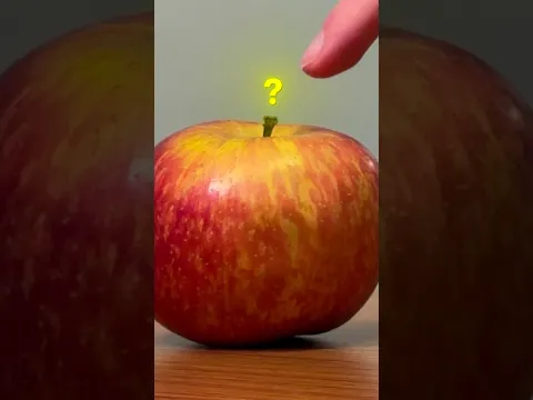 por que maçãs têm esse cabo?
