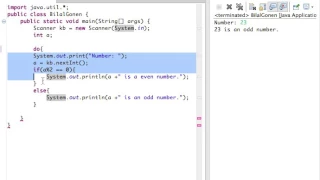 Java Lesson 24 - while loop exercise determine if odd or even number