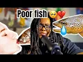 The Insane Story of The Trout Lady