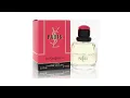 YSL Paris Review Yves Saint Laurent