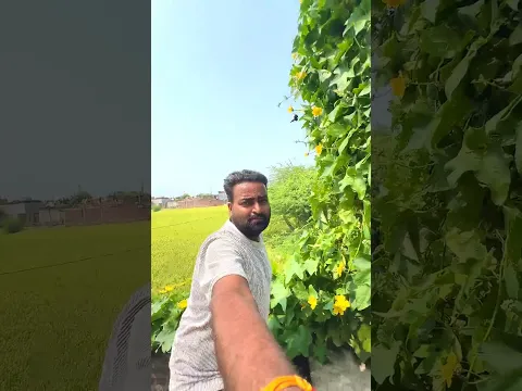 नया घर साफ हो गया ❤️❤️