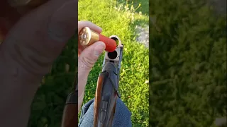 One Of The Best Italian Hunting Rifles Britta Hunting بندقية من أفضل أسلحة الصيد الإيطالية بريتا 