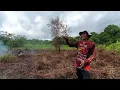 Download Lagu MAS OKI BUKA LAHAN BARU‼️TANGAN TANGAN TERMUDA MENGOLAH TANAH BORNEO
