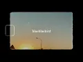 last night - bluebluebird (Lyric video)