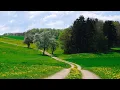 Download Lagu Relaxing music treats diseases of the heart and blood vessels Gentle music,calms the nervous system