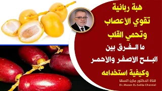 ثمرة غنية بالزنك والبوتاسيوم تغنيك عن شراء المكملات تقوي الأعصاب وتحميك من امراض القلب فوائد البلح 