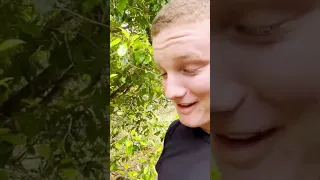 Mum adventures while Dad’s away… spice garden? 😂 #sailingfamily #adventure #seychelles