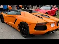 Grand Rapids Auto Gallery Car Show grautogallery1