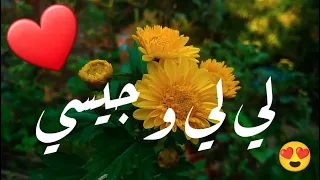 أغنية أسم لي لي جيسي   أغنية لي لي جيسي    لي لي  جيسي    اغنية  اغاني دندنها