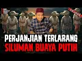 Download Lagu HARTA TAK BERTAMBAH MALAH NYAWA YANG BERKURANG!! AKIBAT BERSEKUTU DENGAN SILUMAN❗