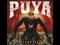 Puya - Oasis