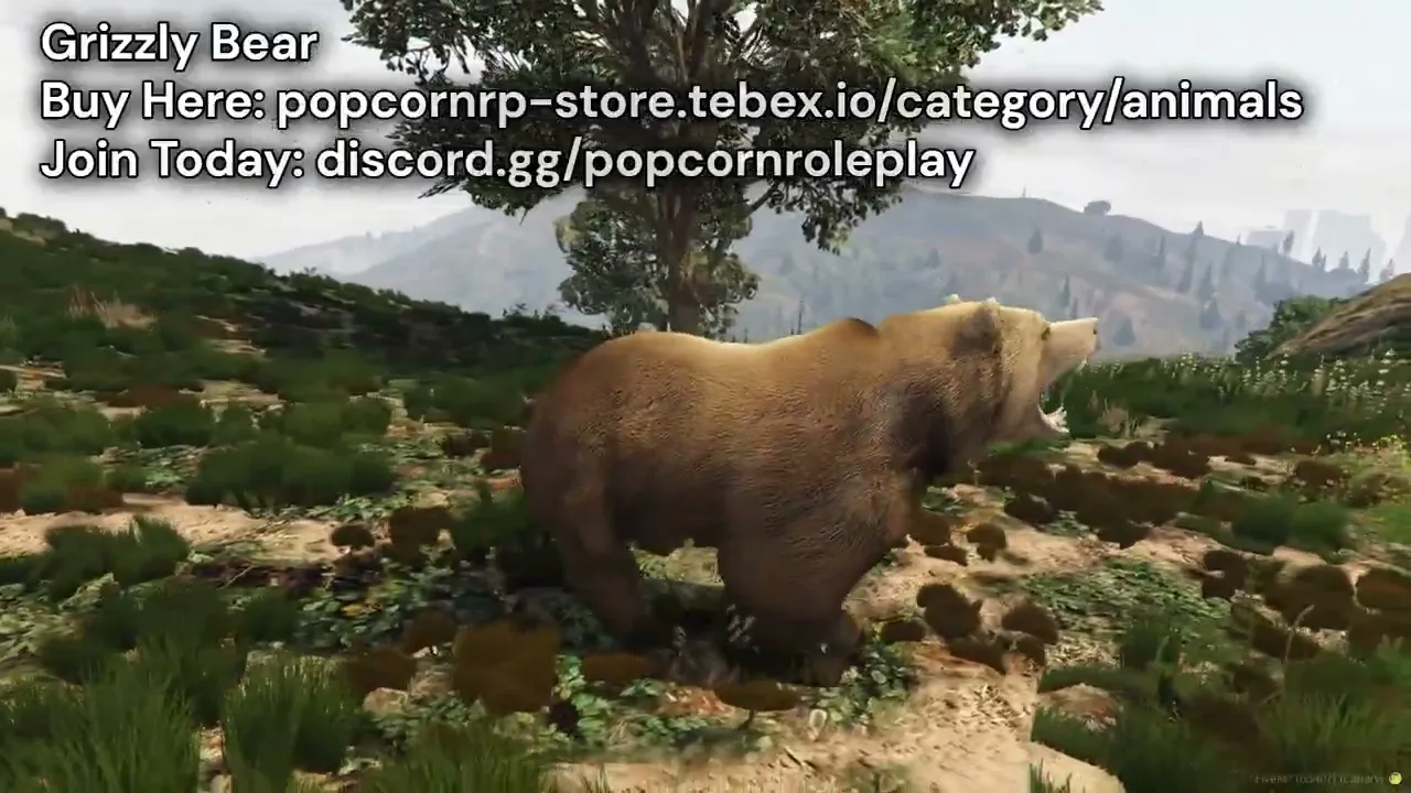 Grizzly Bear
