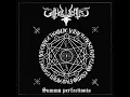 Download Lagu Gotholocaust - Summa Perfectionis  (French Black Metal  | Full Album)