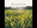 The Most Peaceful Meadow in the Valley
